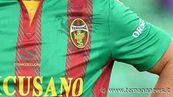 Verso #TernanaPerugia, terapie per un difensore titolare a Benevento - TernanaNews