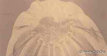 Vera Bohnen en Niels Geybels stellen tentoon aan Boomse Kaai - Het Laatste Nieuws