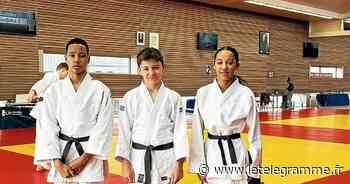 Quatre médailles départementales pour le club A Frébault Lorient judo - Le Télégramme