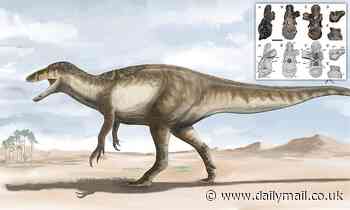 Enormous MEGARAPTOR was 33ft-long and weighed 5 TONS when it stalked Argentina 70 million years ago