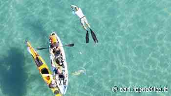 Il 1° maggio a Brindisi diventa "Primo mare": una giornata dedicata alla riscoperta dei luoghi tra vela, passeggiate e attività sulla costa - La Repubblica