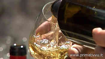 L'IRPINIA DEL VINO DIVISA, A QUANDO UN BRINDISI PER LO SVILUPPO? - - Prima Tivvù