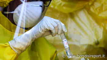 Covid, Puglia: nel Brindisino il maggior numero di contagi settimanali - BrindisiReport