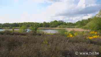 Minister Diependaele investeert in Natuurreservaat De Maten in Genk - TV Limburg