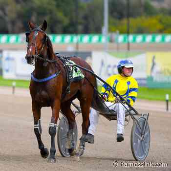 Love You three-year-olds eye classics - Harnesslink