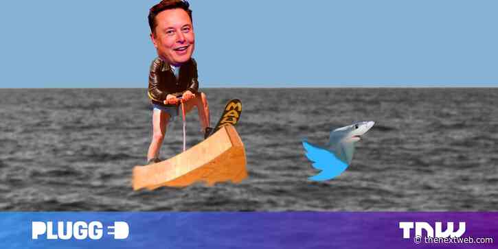 All of Elon Musk’s ideas for making money with Twitter