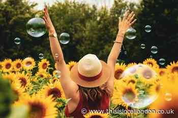 May Day… What is it and how is it celebrated? - Esha Bhatti GNSA