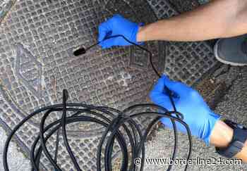 Bari, lotta a blatte, topi e zanzare: ecco il calendari degli interventi - Borderline24.com