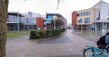 19 Lokale Helden palmen CC Binder in | Puurs-Sint-Amands | hln.be - Het Laatste Nieuws