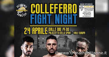 “Colleferro Fight Night” Domenica 24 Aprile una serata di pugilato al Palazzetto. Alfonso Damiani combatterà il sesto match nei pesi massimi - Cronache Cittadine