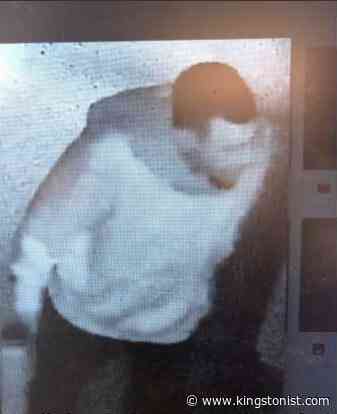 Kingston Police ask for assistance to identify male involved in serious incident – Kingston News - Kingstonist