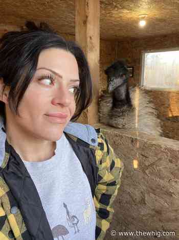 Farm north of Kingston a social media sensation - The Kingston Whig-Standard