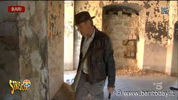 Striscia la notizia svela il degrado della storica Villa Lamberti a Bari. Il sindaco: "Contatterò i proprietari per mettere in sicurezza l'area" - BariToday