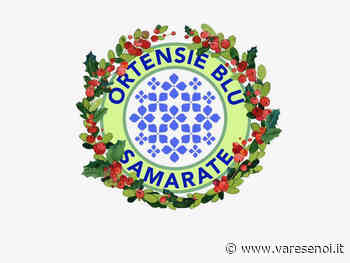 Le "Ortensie Blu" colorano la domenica di Samarate - VareseNoi.it