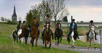 Zondag wandeling per paard en koets | Wervik | hln.be - Het Laatste Nieuws