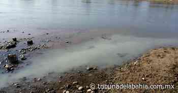 Aguas negras contaminan el Río Ameca y el mar - Tribuna de la Bahía | Noticias en Puerto Vallarta