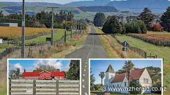 Rita Angus and Hawke's Bay: Landmarks point to newly discovered painting's inspiration - New Zealand Herald