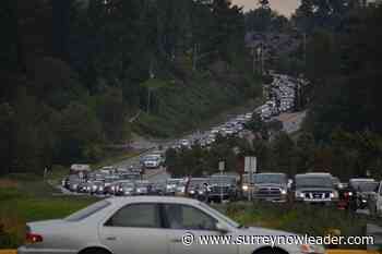 Surrey reviewing Scott Road with eye to running 'fast' bus and densifying corridor – Surrey Now-Leader - Surrey Now Leader