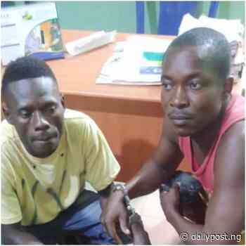 Police arrest two suspects, recover arms in Delta - Daily Post Nigeria