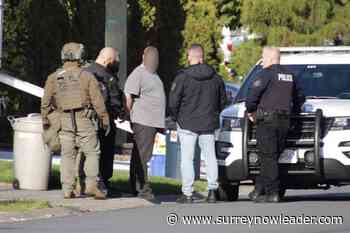 One man arrested after police incident in North Delta – Surrey Now-Leader - Surrey Now Leader