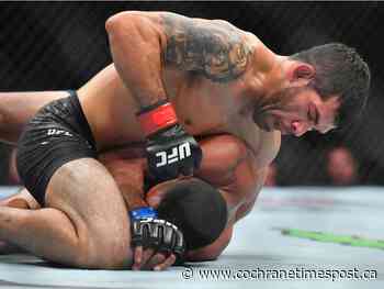 UFC Fight Night Font vs Vera Picks and Predictions - Cochrane Times Post