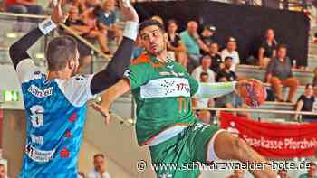 S-Cup in Altensteig: Rhein-Neckar-Löwen kommen im Juli