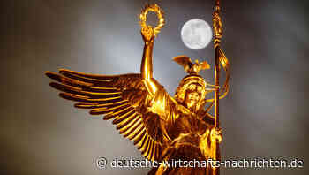 AfD: Berlin soll Ort für Friedensverhandlungen zwischen Putin und Selenskyj sein