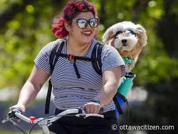 Weather: Sunny skies Friday and right through the weekend - Ottawa Citizen