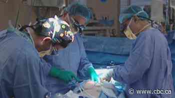 Eastern Health relying on heart surgeons from Ottawa to tackle growing wait list - CBC.ca