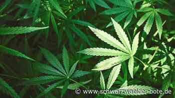 Polizeikontrolle: Autofahrer mit Marihuana in Calw erwischt - Schwarzwälder Bote