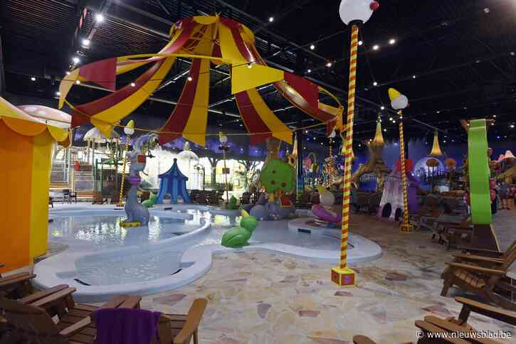 Bos+ en Greenpeace steunen verzet tegen Plopsaqua Mechelen, al 140 bezwaren: “Het bos mag niet het slachtoffer zijn”