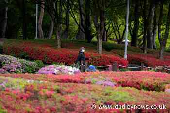 South Korea to relax outdoor mask mandate as Covid-19 slows - Dudley News