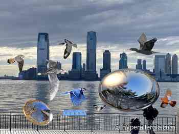 Shuli Sadé Uses Augmented Reality to Reveal the Birds of Battery Park City's Waterfront - Hyperallergic