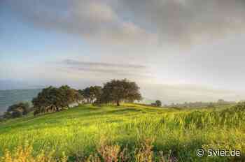Stelle für Freiwilliges Ökologisches Jahr in Trier - 5vier