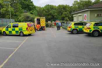 South Hill Wood Bromley: Child injured taken to hospital