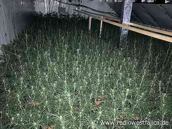 Bilanz nach Drogenrazzien im Kreis Minden-Lübbecke und Bad Salzuflen - Radio Westfalica