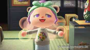 Animal Crossing: Sumo-Wrestling ist die perfekte Beschäftigung für euch und eure Freunde - GamePro