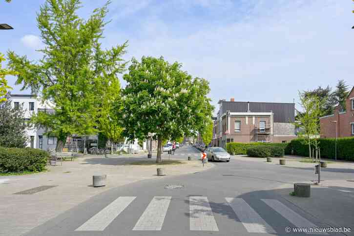 Knip op komst in Boshovestraat: “We willen beletten dat het een racebaan blijft”