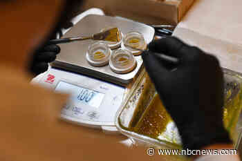 'Totally different animal': States call for research on effects of high-potency marijuana