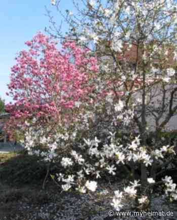 Zu diesem erfreulichen Tag gehört einfach ein passendes Lied ! - Gotha - myheimat.de