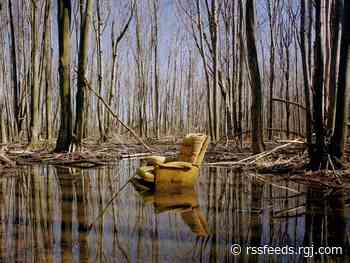 Can classical music alleviate climate change? Reno Phil gives it a try