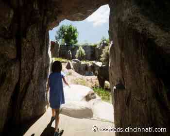 Cincinnati Zoo adding new habitats for black bears and sea otters