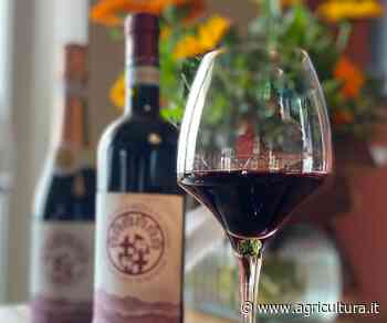 Di Freisa in Freisa a Chieri dal 13 al 15 maggio la grande festa - Agricultura.it