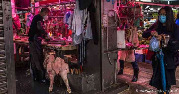 New Disease Makes the Jump to Humans in China