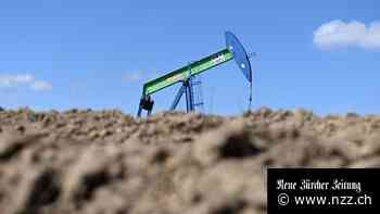 Wie russisches Gas bezahlen? «Wir führen weiterhin Diskussionen», sagt der OMV-Chef Alfred Stern