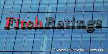 Fragmentation hampers shipping's carbon cutting, says Fitch - TradeWinds