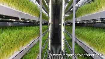 FarmBox Foods Finds More Uses for Shipping Container Farms - Progressive Grocer