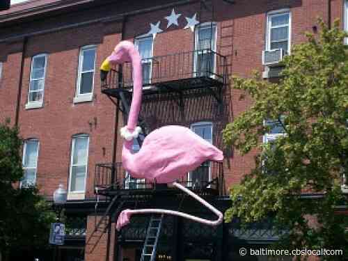 Cafe Hon To Close After 30 Years, But HONfest Will Continue On, Owner Says