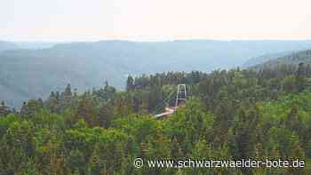 Gemeinderat Bad Wildbad: Wie entwickelt sich   Wald in den nächsten zehn Jahren?