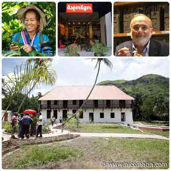 Pourquoi le torréfacteur Malongo est un modèle économique sans filtre